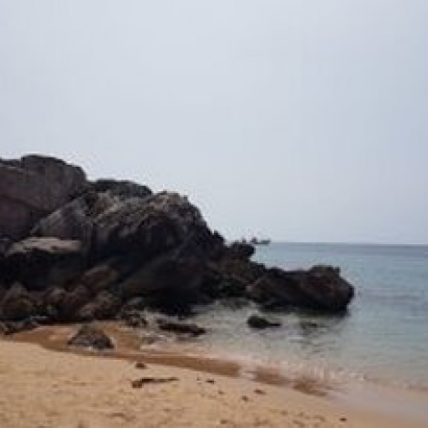 na-m-e-natureza-podes-te-curar-28-05-2019