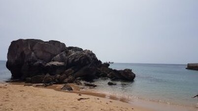 na-m-e-natureza-podes-te-curar-28-05-2019