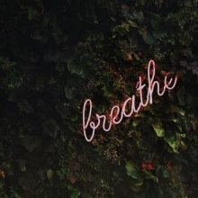 resolve-a-tua-mente-e-ter-s-sa-de-26-08-2019