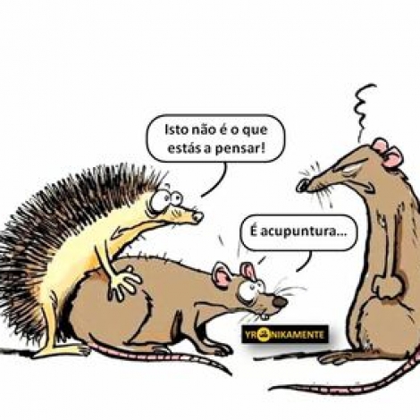 semana-sem-rotinas-sugest-o-44-18-01-2019