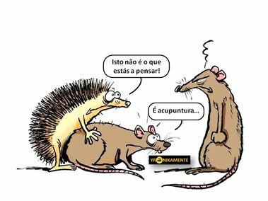 semana-sem-rotinas-sugest-o-44-18-01-2019