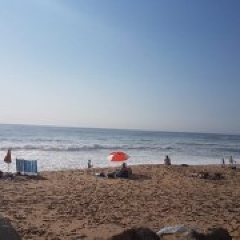 semana-sem-rotinas-sugest-o-64-07-06-2019_orig